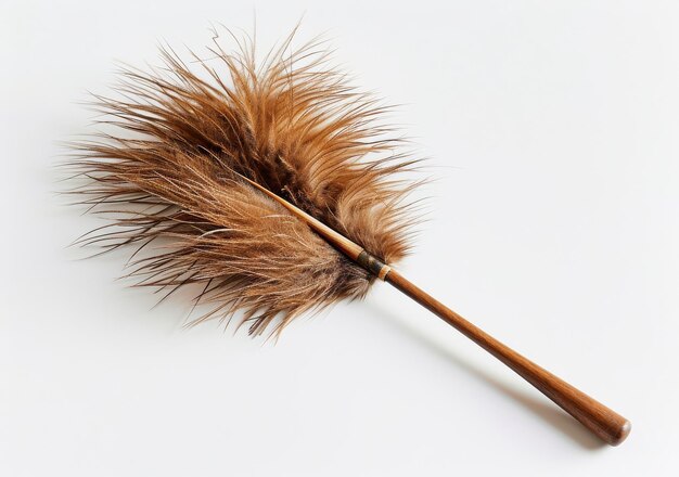 Feather Duster On White Background