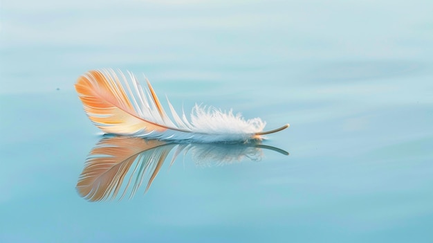 feather floating in the water with a reflection