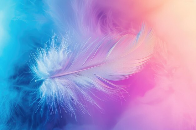 Feather rainbow patchwork background with soft focus