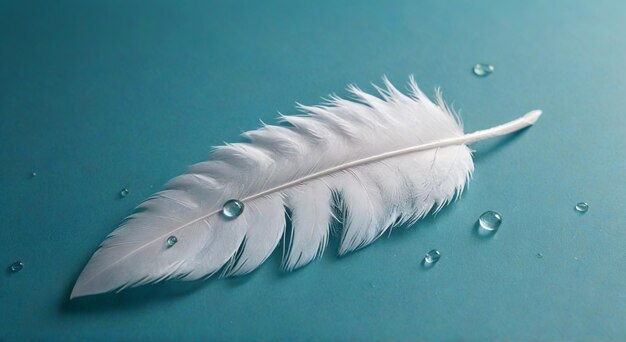 Photo a feather with water drops that has the word feather on it