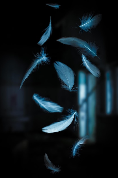 Feathers fall background