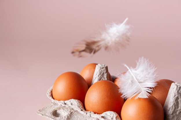 Feathers fly over a carton of chicken eggs