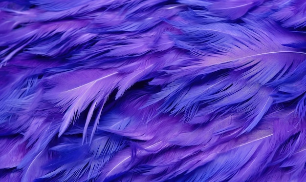 Photo feathers soft background purple bird feathers for banner postcard book illustration created with generative ai tools