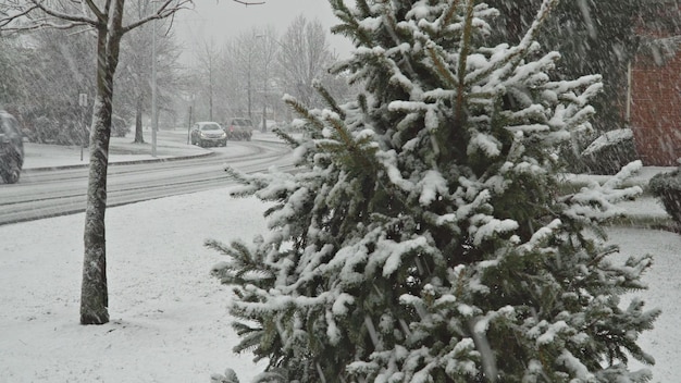 february  sayreville nj usa view of winter storm snowy day road covered snow the small town