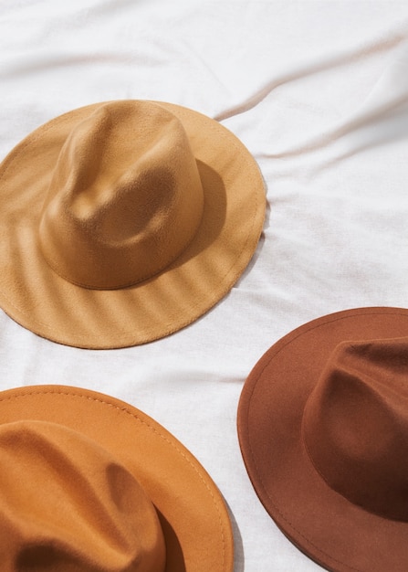 Fedora hats arrangement in studio