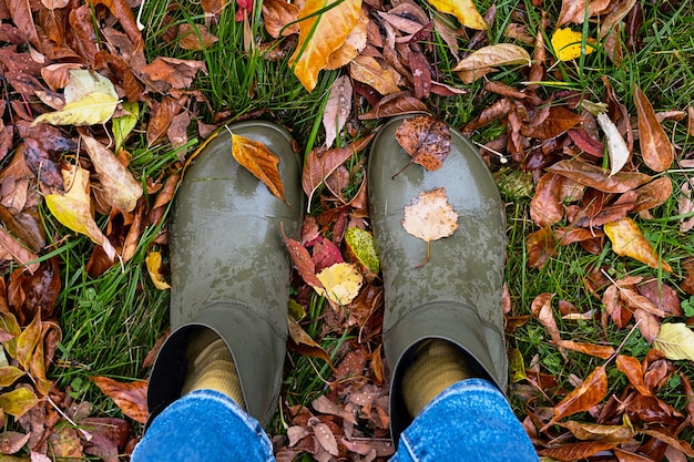 Feet in rubber boots standing in wet grass with coloured fallen leaves Autumn walking lifestyle concept