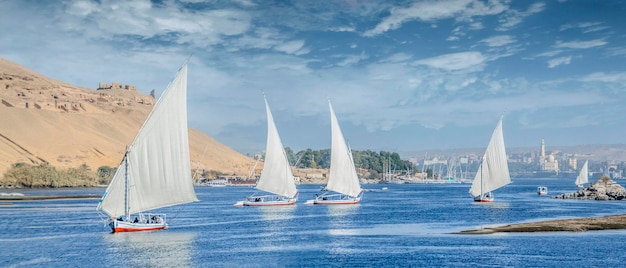 Felucca Sailing on the Nile River in Aswan, Egypt. A sailboat in the Nile.