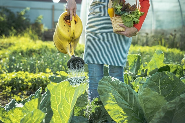 Female agronomistfarmer irrigates plants from a yellow watering can in her garden The joy of taking care of your farm