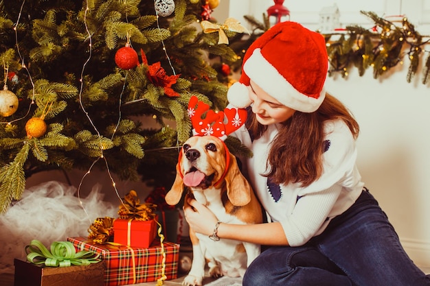 female Beagle dog with teenage girl under the christmas tree at home, best friends - Santa and deer