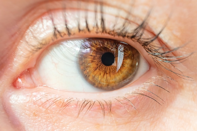 Female brown eye close-up. Beautiful texture of the iris. The eye looks to the left. The concept of vision, ophthalmology. Macro photo. No retouching.