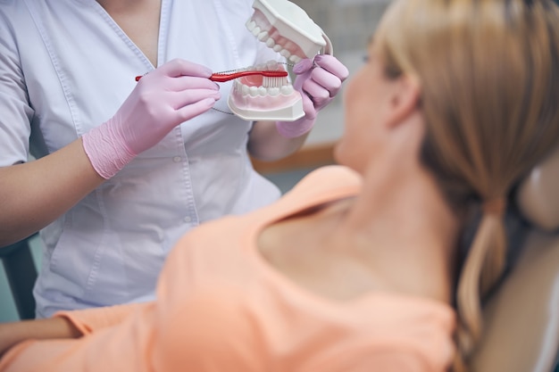 Female dentist explaining correct teeth cleaning for woman