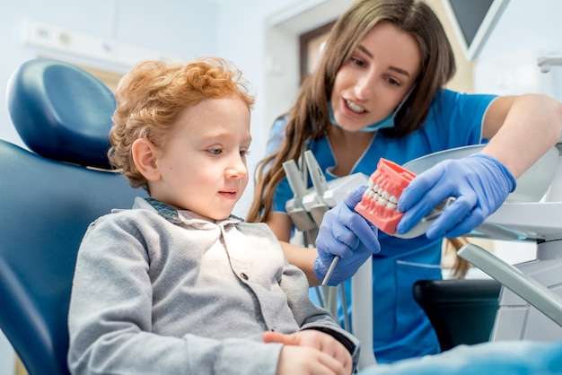 Female dentist showing the young boy artificial jaw at the dental office