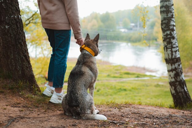 Female dog walker with a pet walking in nature by the river