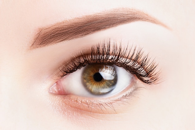 Female eye with long eyelashes. Classic eyelash extensions and light brown eyebrow close-up. 