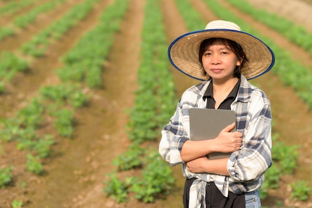 A female farmer with a tablet stands at the organic vegetable plot Smart farm Smart farmer