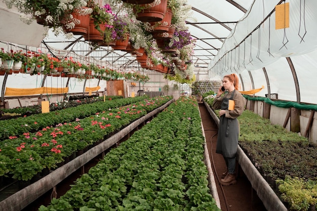 Female farmer working in big industrial greenhouse and flowers nursery