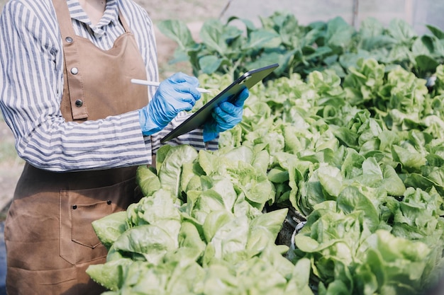 Female farmer working early on farm holding wood basket of fresh vegetables and tablet