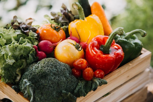 Female farmer working early on farm holding wood basket of fresh vegetables and tablet