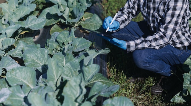 Female farmer working early on farm holding wood basket of fresh vegetables and tabletx9