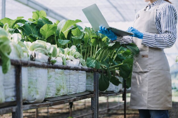 Female farmer working early on farm holding wood basket of fresh vegetables and tabletx9xA