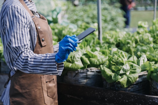 Female farmer working early on farm holding wood basket of fresh vegetables and tabletx9xA