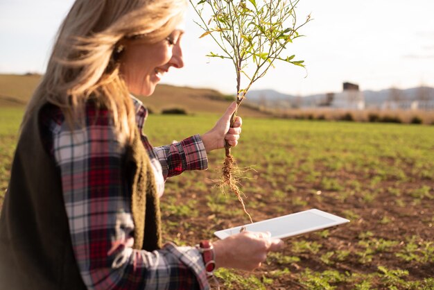 Female field engineer examining agricultural plantation Integration agronomist women in the field