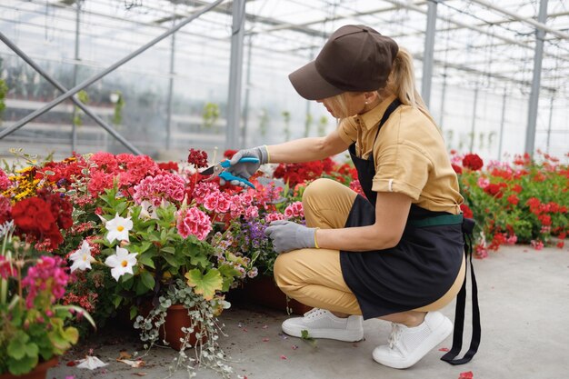 Female florist cuts wilted flowers Greenhouse work