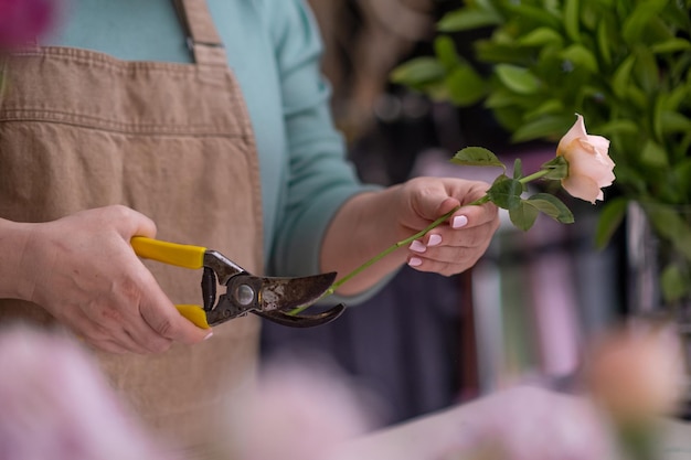 Female florist39s hands close up combines pink roses with green branches to create exquisite bouquet