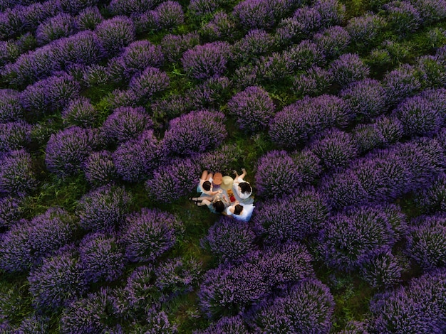 female friends having picnic and clinking glasses with wine in lavender field