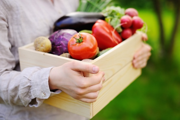 Female gardener holding wooden crate with fresh organic vegetables from farm