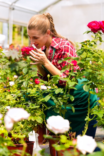 Female gardener in market garden or nursery