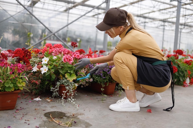 Female gardener taking care of plants preparing to transfer them to new pot