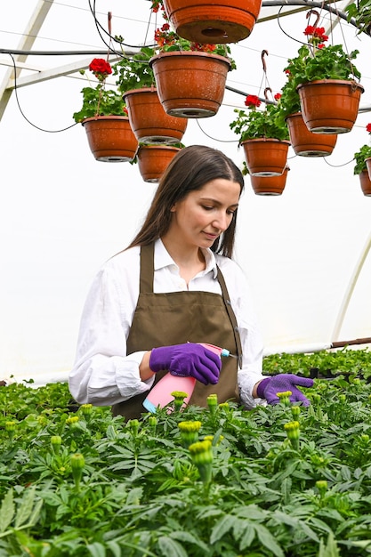 Female gardener working with flowers at a greenhouse Watering plants fertilizing growth check and flowering control