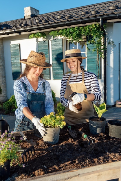 Female gardeners replant plants from a pot in the garden