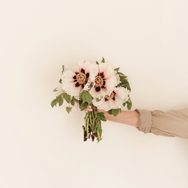 Female hand hold white peonies flowers bouquet on white wall