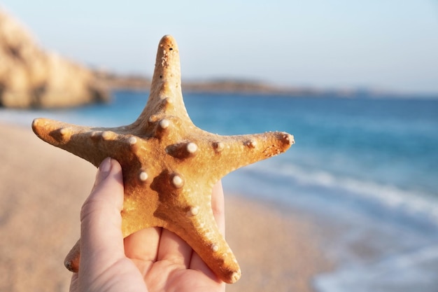 Female hand holding dry sea star on sandy sunny beach on background of beautiful turquoise blue seaSeasidecoast Summer tourism travellingvacation holiday concept copyspace for text