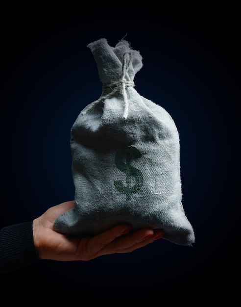 A female hand holding a full burlap sack with a dollar sign concept of wealth profitable business