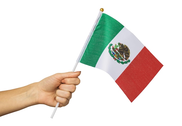 Female hand holding Mexican flag isolated on white background template for designers