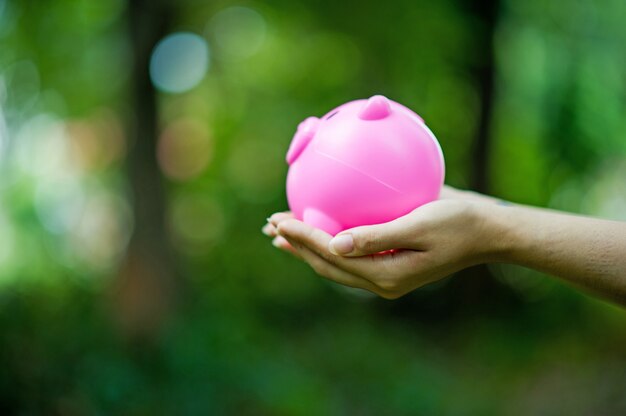 Female hand holding pink piggy bank