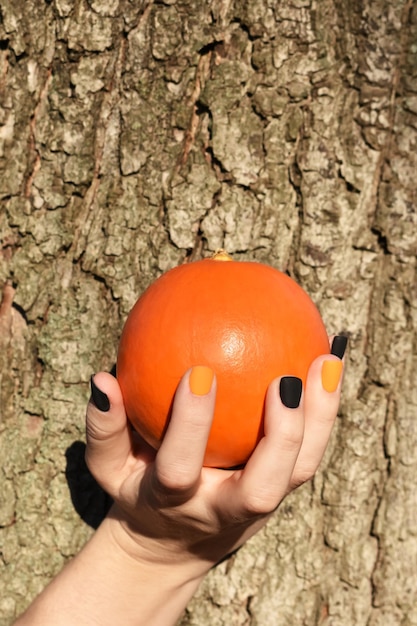 Female hand holds a pumpkin on a background of tree bark Autumn composition Side view