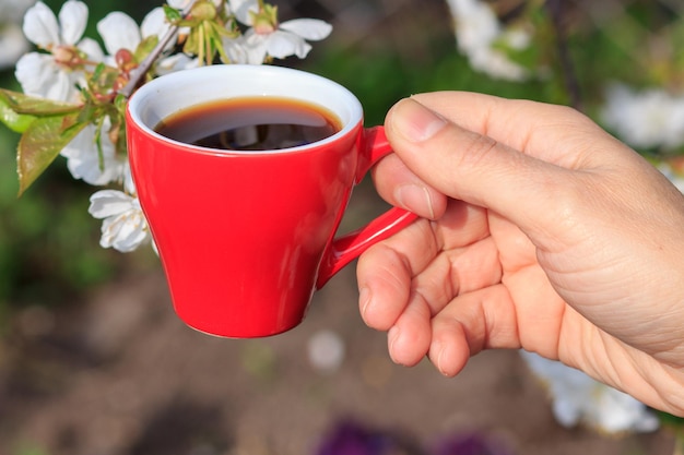 Female hand holds a red porcelain cup of coffee with flowering cherry tree on the background. Selective focus on cup.