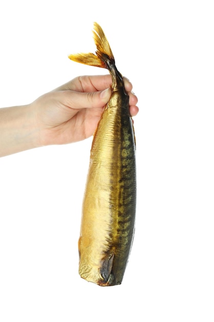 Female hand holds smoked mackerel isolated on white background