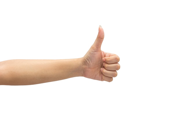 Female hand on the isolated on white background