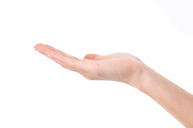 Female hand showing the gesture with a deployed up to her hands isolated on white background