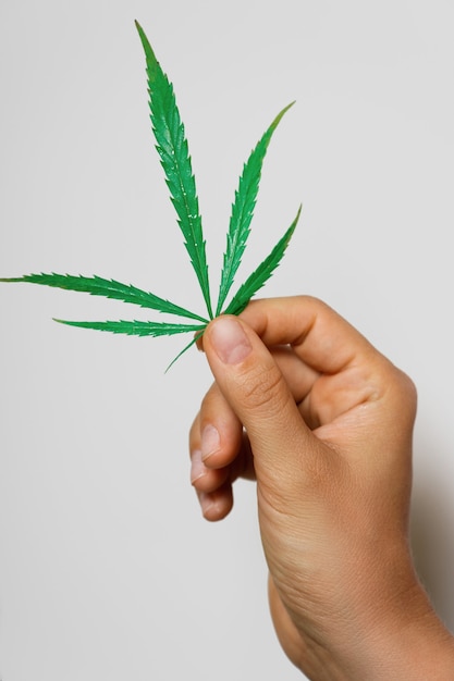 Female hand with a green cannabis leaf on gray background