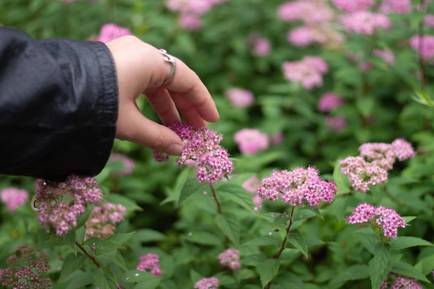 Female hand with rings with flowers and leaves