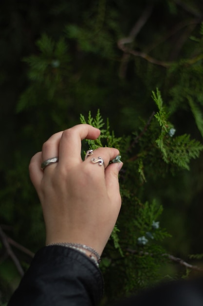 Female hand with rings with flowers and leaves