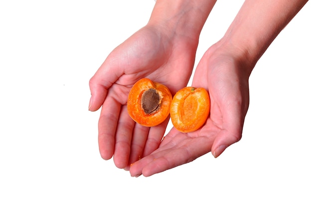 Female hand with tasty apricot on white background. Cream for hands and treatment or organic healthy food idea and concept