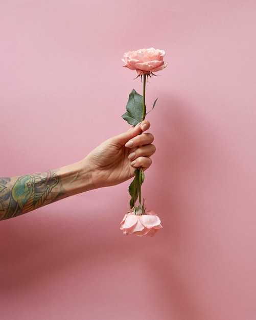 In a female hand with a tattoo two pink roses presented on a pink background with copy space st