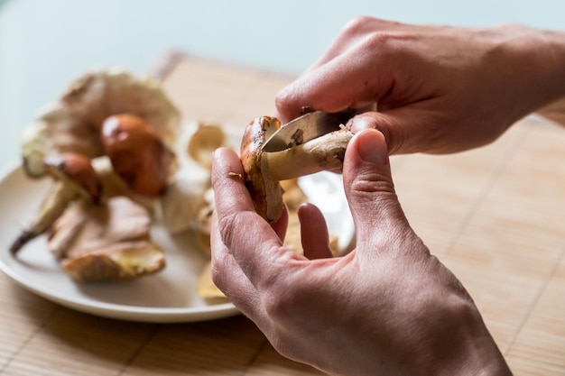 Female hands cleaning fresh harvest of mushrooms